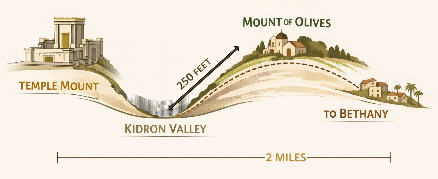 Jesus’s route between the Temple Mount and Bethany where He lodged at night.